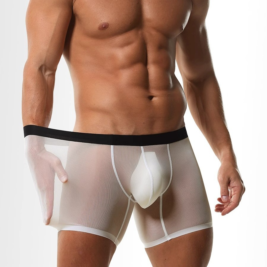 Ice Silk Sheer Mesh Long Leg B – обзор и цена Long Leg Trunk Men
